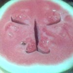 엽기고양이<b>수박</b>