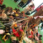 소개할께 울 <b>강지</b>들얌