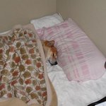 나 좀 <b>피곤</b>해요