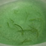 오늘 <b>미역</b>줄기를 샀는데여..너무 새파래서~