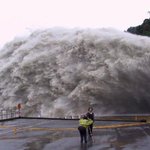 머하는 시<b>츄</b>에이션,,,,?