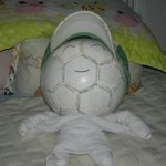 <b>대자</b>로 뻣엇습니다