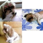 두리는 <b>휴가</b>중