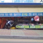 <b>난감</b>하네요.그걸꼭... 거기다가 넣어야하나요?.