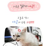 계속되는 야근의 <b>원인</b> 발견!!