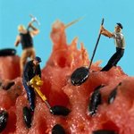 초미니 사람 인형 공예<b>작품</b>