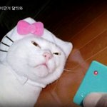 내몸에<b>손대</b>즤뫄