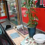 <b>개야</b>, 너 정말로 행복하니