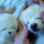 난 <b>인형</b>이 아녀요