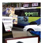<b>착시</b>효과를 일으키는 사진들