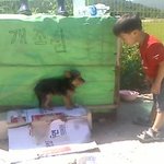 개조심하세요