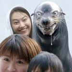 <b>신애</b> 헝?