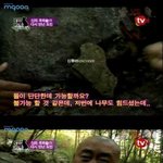<b>신의</b> 격파술 도인님 ..