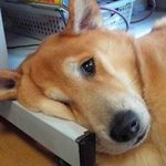 <b>살만</b> 허냐 ~?