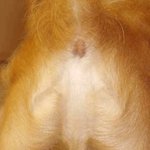 [충격사진] <b>또렷</b>한 예수님의 형상