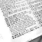 개독의 <b>사전적</b>의미