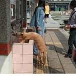 s 라인은 <b>가라</b>