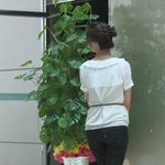 너는내운명+호세레져의폭풍간지랩