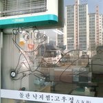 낙지집 앞유리판 낙지모습이 <b>요염</b>해