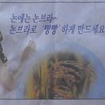 <b>농약</b>은 논브라 입니다