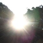 기화[氣化]와 <b>생화</b>[生化]작용