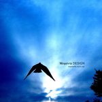 그래 이제부터가 시작이야.