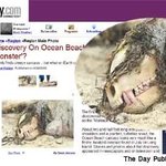 몬탁 괴물 정체불명 <b>동물</b> 바닷가에서 또발견돼 화제