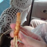 친구 어머님이 주신 선물 (사진有)