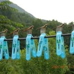 잠자리 <b>포획</b>성공 !