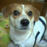 우리 재동이를 찾아주세여....ㅠ.ㅠ