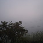 <b>안개</b>