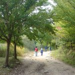 영동 천태산 <b>영국사</b> 가는 길