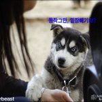 <b>동작</b>그만! 밑장빼기냐?
