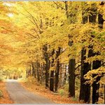 지루한 <b>월욜</b>..