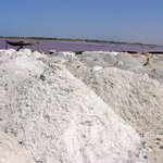 소금이 나는 장미빛 호수