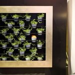 식물과 액자가 만나다!