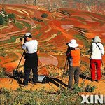 그림으로 오해 받는 '그림 같은 사진'!