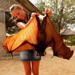 <b>why</b> so serious?