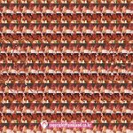 ☆★삼순이 <b>삼식</b>이 매직아이 키스씬☆★