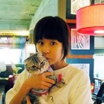 고양이를 <b>안고</b>있는 여자연예인들,너무 귀여워 미치겠어?!