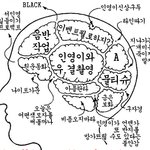 개미커플의 뇌구조, 짱 웃김!