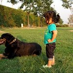 개 앞에서 무서울것이 없는 배짱 <b>두둑</b>한 하음이~