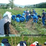 어딜가나 있구만..