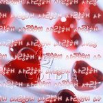 당신을 사랑한다는 증거 20가지 ♥