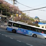 <b>버스</b> 승객들이 모두 긴장하는 순간!!
