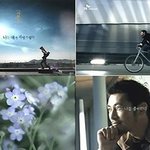 [김현진 칼럼]토이남을 만나다