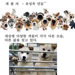 웃어 보세요 - 개 <b>팔자</b>