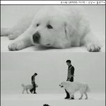 은초딩 <b>은지원</b> adios 뮤직비디오에 나온 상근이