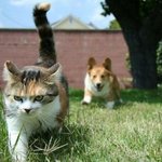 야! 너 나 좀 <b>보자</b>~