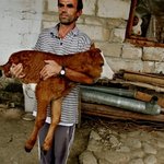 <b>뒷다리</b> 없이 태어난 송아지.. 살 수 있을까?